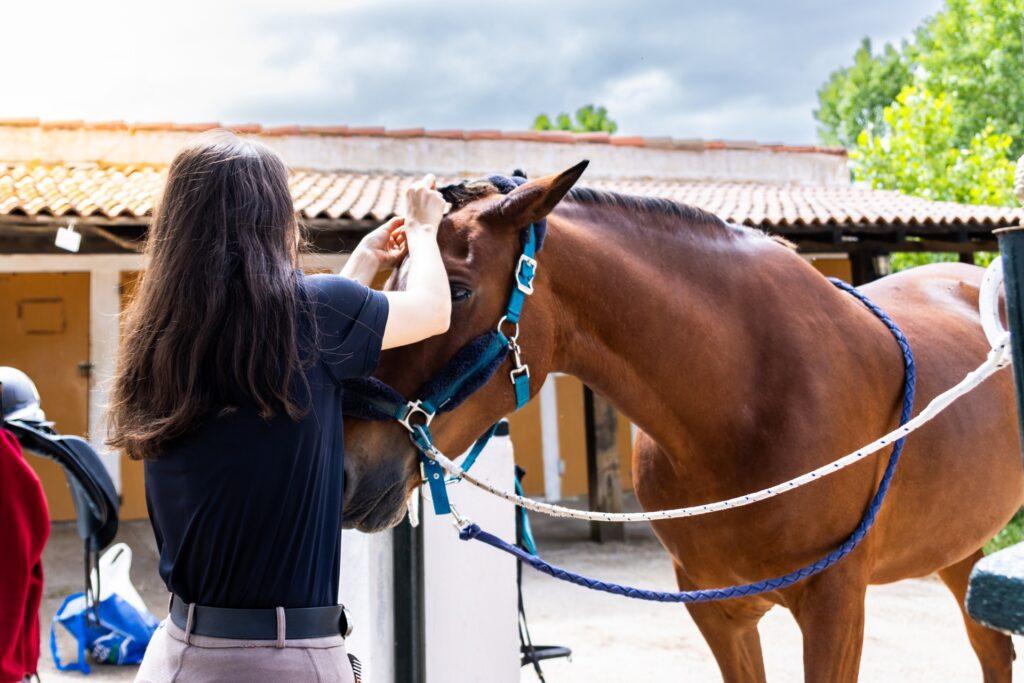 Pferd wird vor dem Reiten vorbereitet | Heunetze